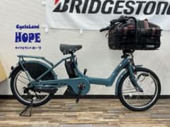 新品☆ビッケポーラーe ペット乗せ仕様 ペットバッグ・大型カゴ付 電動 