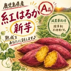 鹿児島県産 紅はるか A品 5キロ　自然熟成　30日経過　減農薬栽培のサムネイル