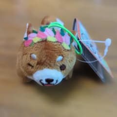 忠犬もちしば　花かんむりスクっとぷち