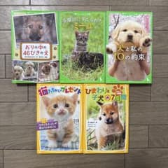 5冊まとめ売り 角川つばさ文庫 集英社みらい文庫のサムネイル