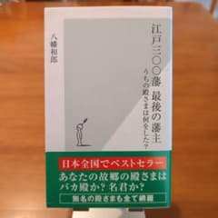 江戸三〇番最後の藩主 うちの殿さまは何をした？のサムネイル