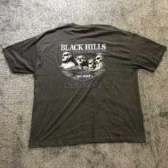 【大特価中】Harley-Davidsonのサムネイル