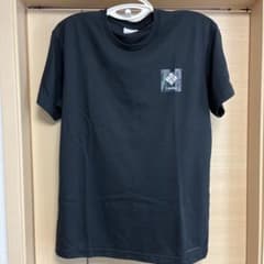 コロンビア　tシャツ　ノースフェイス　好きにもおすすめのサムネイル