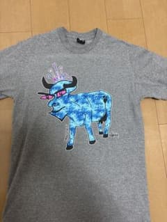 STUSSY Tシャツ（2000s）のサムネイル