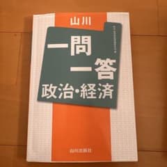 山川　一問一答　政治経済のサムネイル