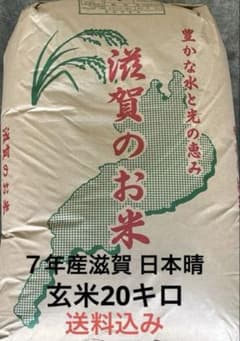 令和7年滋賀県産 日本晴【玄米20kg】石抜き済 全国送込み 玄米20キロ 令和7年滋賀県産 日本晴【玄米20kg】石抜き済 全国送込み 玄米20キロ