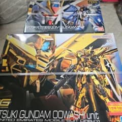 【新品未開封】RG アカツキ ＆ RG ストライクフリーダムガンダム 2点セットのサムネイル