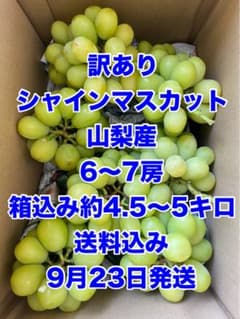 訳ありシャインマスカット　山梨産　 6〜7房　箱込み約4.5〜5キロ　送料込み - 4