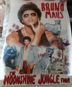 Bruno Mars ポスターのサムネイル