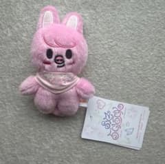 スキズ　SKZOO テディベアぬいぐるみ　トゥエッキ　チャンビン 5'clock SKZOO PLUSH 10cm トゥエッキ スキズ チャンビン - メルカリ