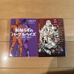 文庫版 The Book 恥知らずのパープルヘイズ ジョジョ外伝のサムネイル