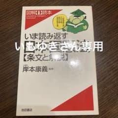 いま読み返す日本国憲法―条文と解説のサムネイル