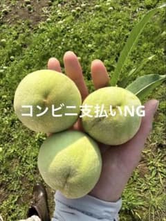 山梨県　摘果桃 特大、大ミックス　10キロのサムネイル