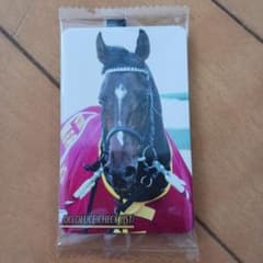 ブ*ン様 【まねき馬】ドウデュース 年度代表馬SPカード(開封) ブ*ン様 【まねき馬】ドウデュース 年度代表馬SPカード(開封) ブ*ン様