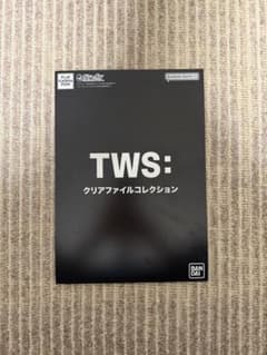 TWS: クリアファイルコレクション DOHOONのサムネイル