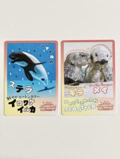 鳥羽水族館　コレクションカード　キラ　メイ 鳥羽水族館コレクションカード ラッコ キラ メイ ノーマル - メルカリ