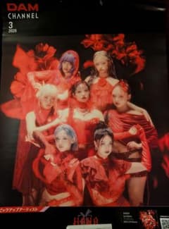 【非売品】HANA ハナ ポスター B1 B2 ２枚組 非売品】HANA ハナ ポスター B1 B2 2枚組 - メルカリ