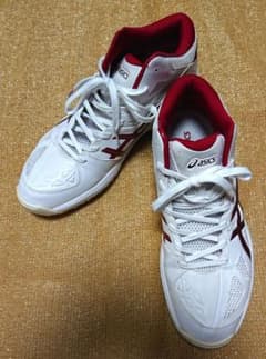 アシックス バッシュ TBF321 29cmのサムネイル