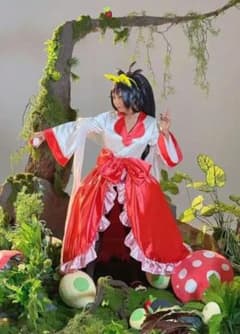 ポケモン アイリス コスプレ ポケモン アイリス コスプレ - メルカリ