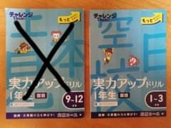 あい様   チャレンジ 1ねんせい　実力アップドリルのサムネイル