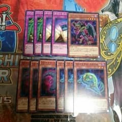 DDバーツのサムネイル
