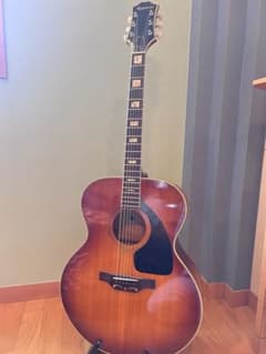 激レア】Epiphone FT-570 Sheraton SB ヴィンテージ - メルカリ