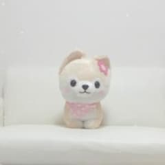 005 ぬいぐるみ 犬 豆柴 柴犬のサムネイル