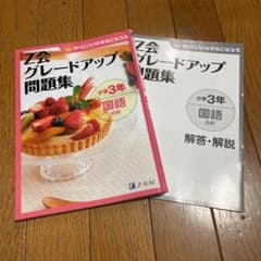 まー様専用　Z会　グレードアップ問題集　小学3年　国語読解のサムネイル