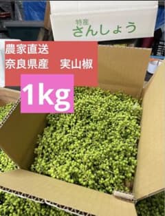 奈良県産 実山椒 1kg 産地直送 - メルカリ