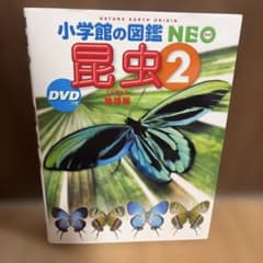 小学館の図鑑 NEO昆虫. 2（DVD付）のサムネイル