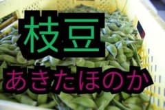 枝豆３キロのサムネイル