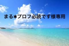 まる✱プロフ必読です様専用のサムネイル