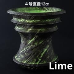 螺旋〜Lime〜 4号直径12㎝ 3dプリンター鉢 作家鉢 アガベ - メルカリ