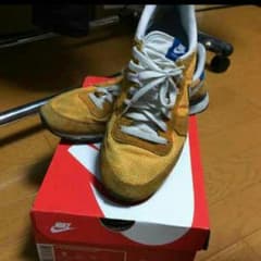 やんちゃ様専用NIKEスニーカー!!のサムネイル