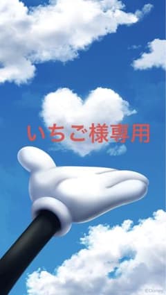 いちご様専用出品です。再販！！マイレジカゴカバー　マイバスケットカバーのサムネイル