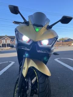 YAMAHA YZF-R25 改 カスタム ホワイト/ゴールド iron man - メルカリ