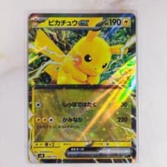 m99158710892_1.jpg?1756010996