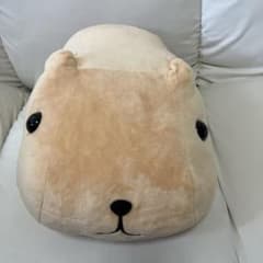 カピバラさん めちゃもふぐっとぬいぐるみ おめめツヤツヤ～ンのサムネイル