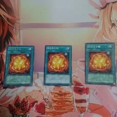 ポテチ公爵 様 専用のサムネイル