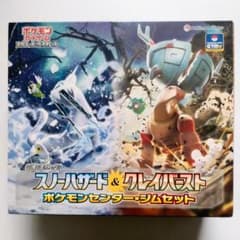 新品未開封】 ポケモンセンター・ジムセット スノーハザード&クレイ
