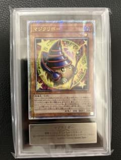 ヒトカゲ プロモ PROMO 060/SM-P PSA10 世界に138枚|mercariメルカリ