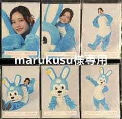 櫻坂46 浅井恋乃未 生写真 6種コンプ 見つけて櫻坂うさぎ 浅井ぴょんきちのサムネイル