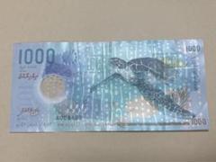 外国紙幣 モルディブ 最高額 ジンベイ ウミガメ 海外