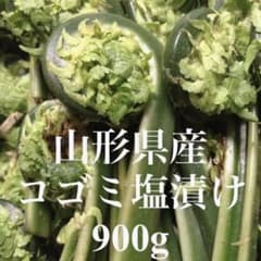 山形県産 コゴミ塩漬け 900g 塩蔵 こごみ 山菜 野菜 - メルカリ