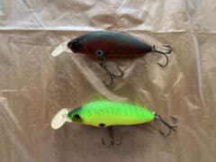 デュエル 魚舞流1のサムネイル