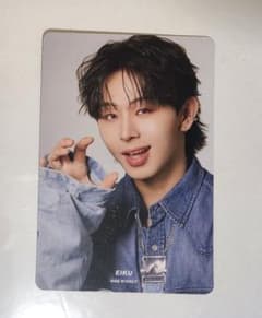 EBiDANVisualDictionary EIKU トレカ ワンエン - メルカリ