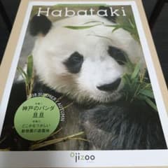 神戸市立王子動物園Habataki 2018年夏・秋号 パンダのタンタン特集