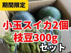 小玉スイカ2個と枝豆約300gセット　期間限定のサムネイル