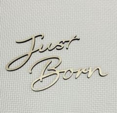 ウッドレター　Just Born 木製フォトデコレーションのサムネイル