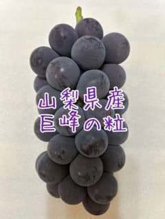 【tomy】巨峰の粒　箱込2kg弱 TOMO様専用】巨峰の粒 箱込2kg弱 - メルカリ